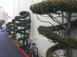 Topiary at Fox Studios