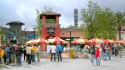 Hollywood Grill, 2006