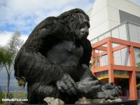 King Kong, April 2006