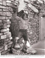 The Incredible Hulk press photo - 1979 (courtesy of universalstonecutter)