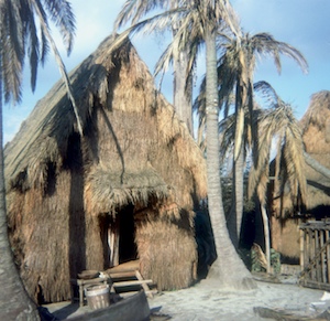 Grass Huts, seen in 1973 (photo by Bill Cotter)
