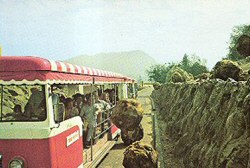 Glamortram bombarded by boulders (source unknown)
